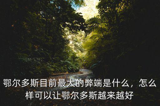 鄂爾多斯目前最大的弊端是什么，怎么樣可以讓鄂爾多斯越來越好