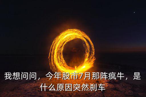 我想問問，今年股市7月那陣瘋牛，是什么原因突然剎車