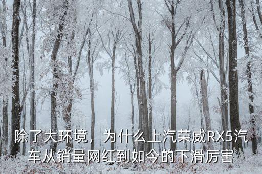 除了大環(huán)境，為什么上汽榮威RX5汽車從銷量網(wǎng)紅到如今的下滑厲害