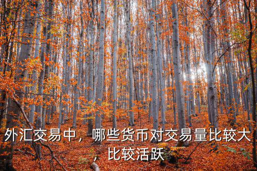 外匯交易中，哪些貨幣對(duì)交易量比較大，比較活躍