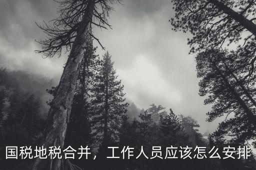 國(guó)稅地稅合并，工作人員應(yīng)該怎么安排