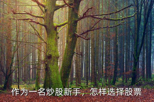 作為一名炒股新手，怎樣選擇股票