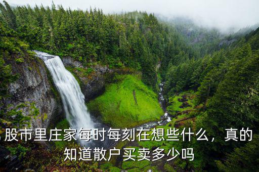 股市里莊家每時每刻在想些什么，真的知道散戶買賣多少嗎