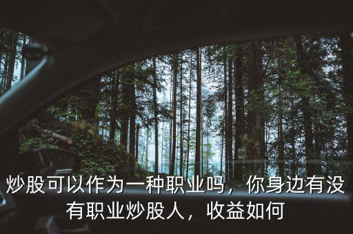 炒股可以作為一種職業(yè)嗎，你身邊有沒有職業(yè)炒股人，收益如何