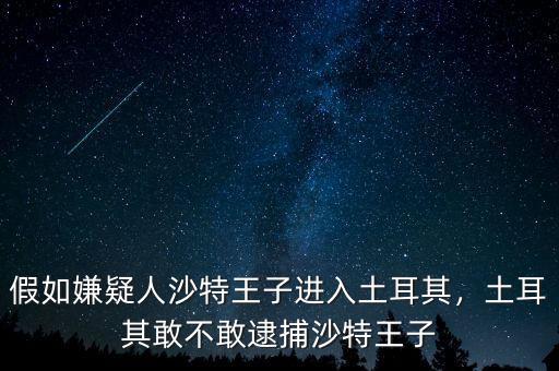 假如嫌疑人沙特王子進入土耳其，土耳其敢不敢逮捕沙特王子