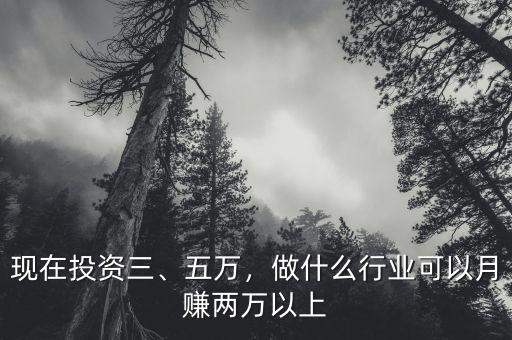 現(xiàn)在投資三、五萬，做什么行業(yè)可以月賺兩萬以上