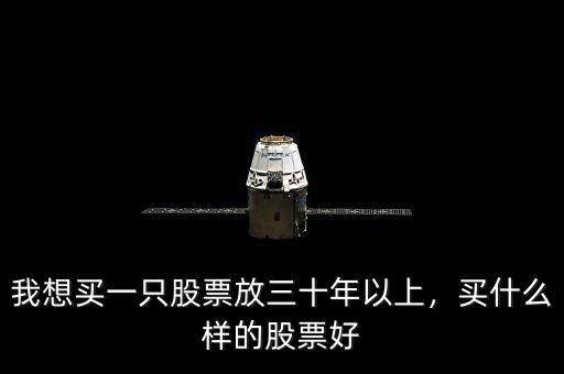 我想買一只股票放三十年以上，買什么樣的股票好