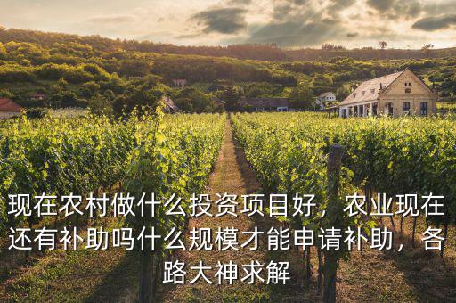 現(xiàn)在農(nóng)村做什么投資項(xiàng)目好，農(nóng)業(yè)現(xiàn)在還有補(bǔ)助嗎什么規(guī)模才能申請(qǐng)補(bǔ)助，各路大神求解