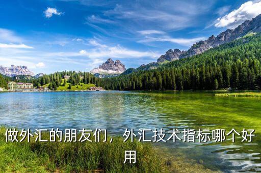 做外匯的朋友們，外匯技術(shù)指標(biāo)哪個好用