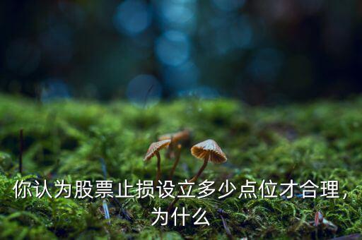 你認(rèn)為股票止損設(shè)立多少點(diǎn)位才合理，為什么