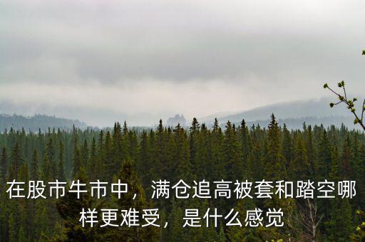 在股市牛市中，滿倉追高被套和踏空哪樣更難受，是什么感覺