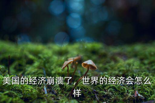 美國(guó)的經(jīng)濟(jì)崩潰了，世界的經(jīng)濟(jì)會(huì)怎么樣