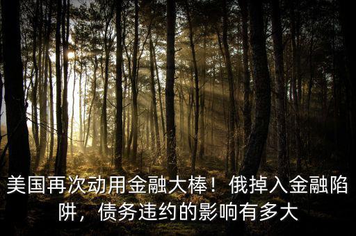 美國再次動(dòng)用金融大棒！俄掉入金融陷阱，債務(wù)違約的影響有多大