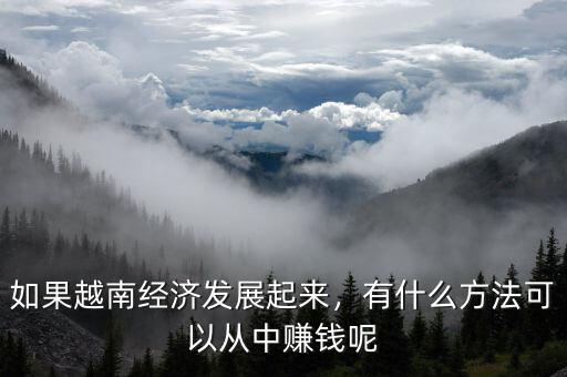 如果越南經(jīng)濟發(fā)展起來，有什么方法可以從中賺錢呢