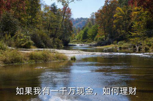 如果我有一千萬(wàn)現(xiàn)金，如何理財(cái)