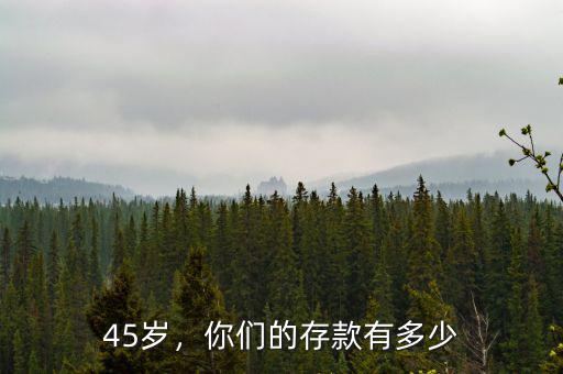 45歲，你們的存款有多少
