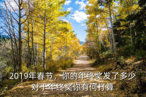 2019年春節(jié)，你的年終獎(jiǎng)發(fā)了多少對(duì)于年終獎(jiǎng)你有何打算