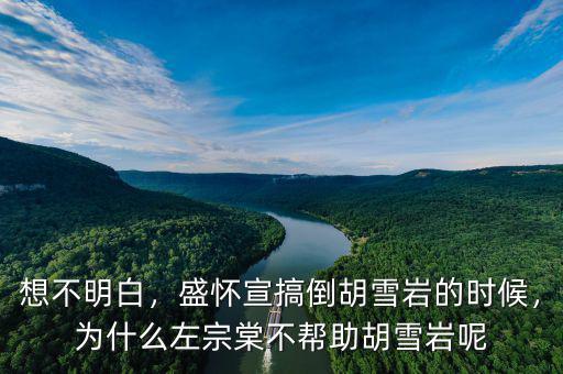 想不明白，盛懷宣搞倒胡雪巖的時候，為什么左宗棠不幫助胡雪巖呢