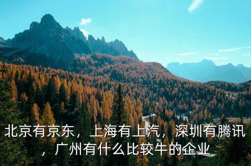 北京有京東，上海有上汽，深圳有騰訊，廣州有什么比較牛的企業(yè)