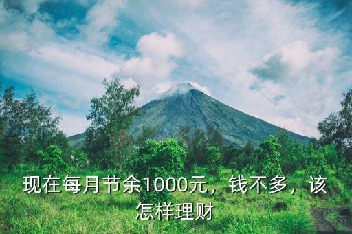 現(xiàn)在每月節(jié)余1000元，錢不多，該怎樣理財