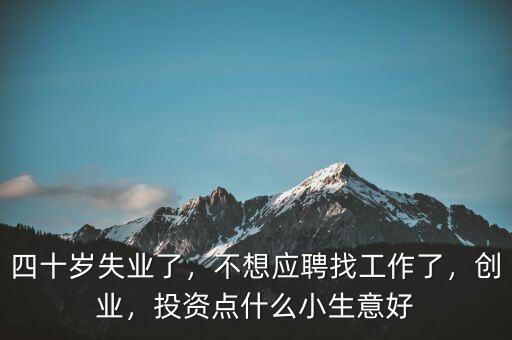 四十歲失業(yè)了，不想應聘找工作了，創(chuàng)業(yè)，投資點什么小生意好