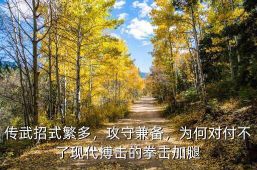 傳武招式繁多，攻守兼?zhèn)?，為何對付不了現(xiàn)代搏擊的拳擊加腿