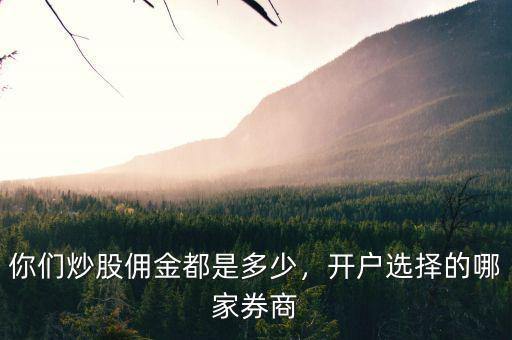 你們炒股傭金都是多少，開(kāi)戶選擇的哪家券商
