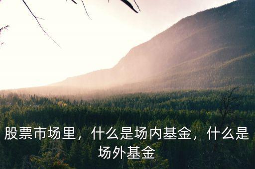 股票市場里，什么是場內(nèi)基金，什么是場外基金
