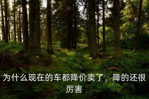 為什么現(xiàn)在的車都降價(jià)賣了，降的還很厲害