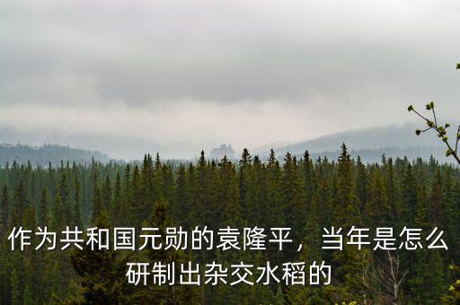 作為共和國(guó)元?jiǎng)椎脑∑?，?dāng)年是怎么研制出雜交水稻的