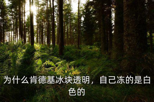 肯德基冰塊怎么做的,而肯德基的冰塊晶瑩剔透呢