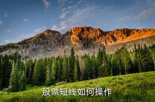 短線(xiàn)操作是什么意思,短線(xiàn)操作的核心精髓是什么