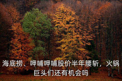 海底撈、呷哺呷哺股價半年腰斬，火鍋巨頭們還有機會嗎