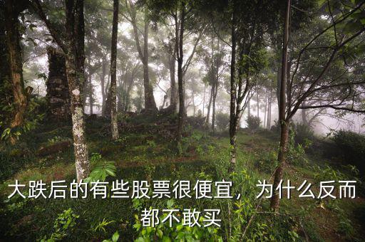 大跌后的有些股票很便宜，為什么反而都不敢買