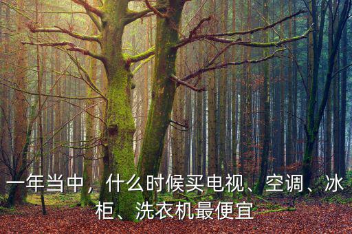 一年當(dāng)中，什么時(shí)候買電視、空調(diào)、冰柜、洗衣機(jī)最便宜