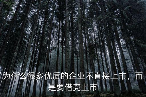 為什么很多優(yōu)質(zhì)的企業(yè)不直接上市，而是要借殼上市