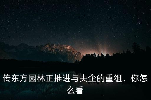 傳東方園林正推進(jìn)與央企的重組，你怎么看
