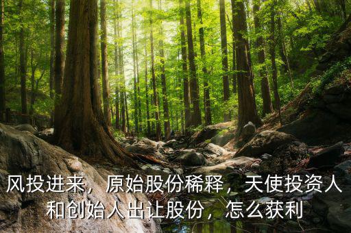 風(fēng)投進來，原始股份稀釋，天使投資人和創(chuàng)始人出讓股份，怎么獲利