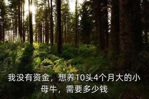 我沒(méi)有資金，想養(yǎng)10頭4個(gè)月大的小母牛，需要多少錢(qián)