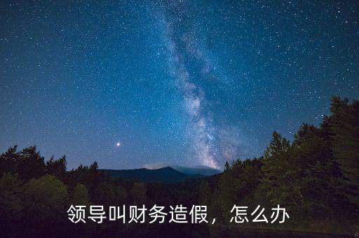 領(lǐng)導(dǎo)叫財(cái)務(wù)造假，怎么辦