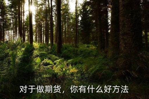 對(duì)于做期貨，你有什么好方法