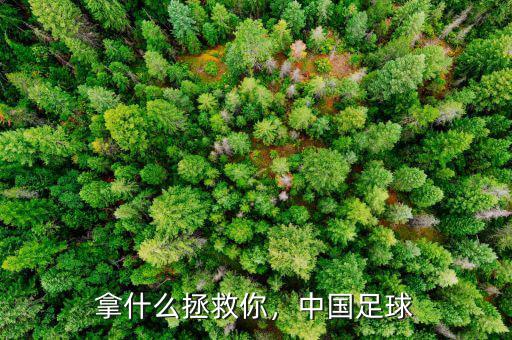 拿什么拯救你，中國(guó)足球