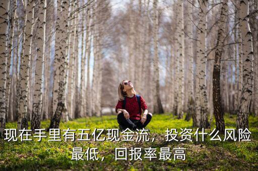 現(xiàn)在手里有五億現(xiàn)金流，投資什么風(fēng)險最低，回報率最高