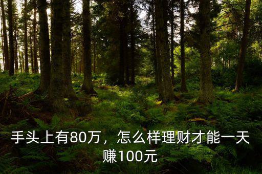 手頭上有80萬，怎么樣理財才能一天賺100元