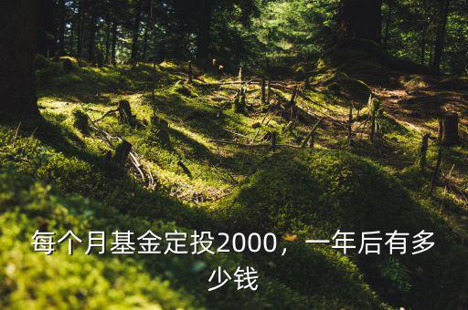 每個月基金定投2000，一年后有多少錢