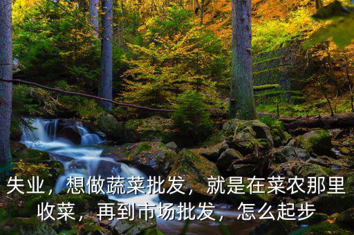 失業(yè)，想做蔬菜批發(fā)，就是在菜農(nóng)那里收菜，再到市場(chǎng)批發(fā)，怎么起步