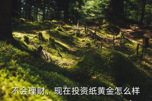 不會(huì)理財(cái)，現(xiàn)在投資紙黃金怎么樣