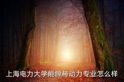 上海電力大學能源與動力專業(yè)怎么樣
