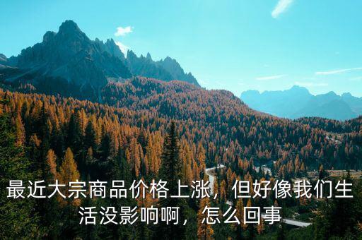 最近大宗商品價格上漲，但好像我們生活沒影響啊，怎么回事