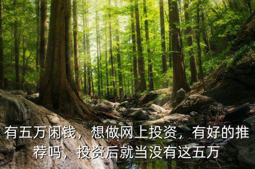 有五萬閑錢，想做網(wǎng)上投資，有好的推薦嗎，投資后就當沒有這五萬